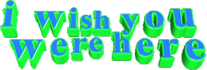 text greeting Sticker by thecatfrazier
