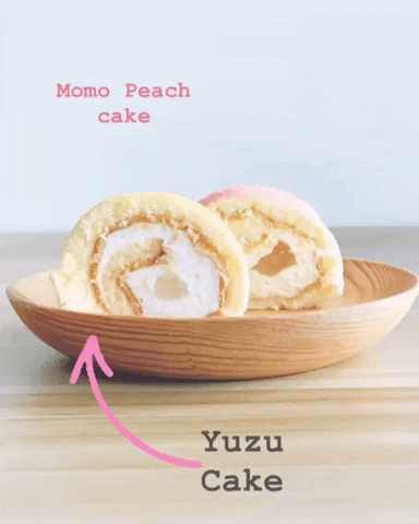 zairyo giphyupload GIF
