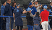 Blue Jays Baseball GIF by Toronto Blue Jays