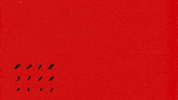 Quearte GIF by Cruzcampo