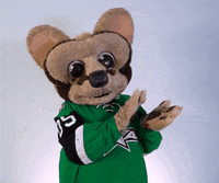 Happy Celebration GIF by Texas Stars Hockey