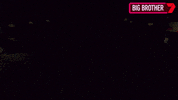 Big Brother Party GIF by Big Brother Australia