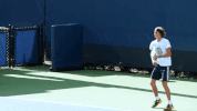 usopen tennis us open zverev GIF