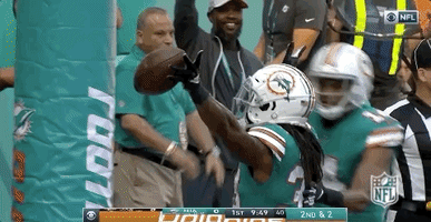 2018 Nfl Football GIF by NFL