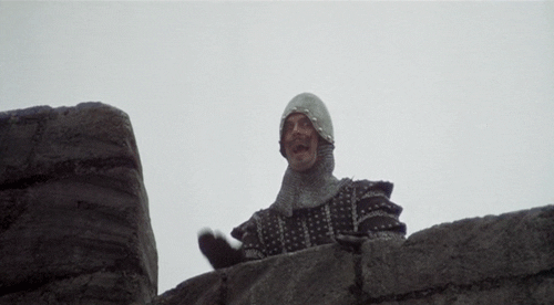 mocking monty python GIF
