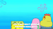 season 9 episode 3 GIF by SpongeBob SquarePants