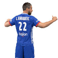 Luka Karabatic Ffhandball Sticker by Fédération Française de Handball