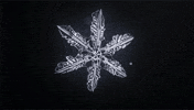 time snowflake GIF