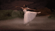Enbsylphide GIF by English National Ballet