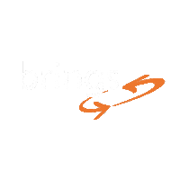 brings_ag logo shake schweiz recycling Sticker
