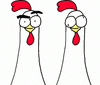chicken flash GIF by happydog