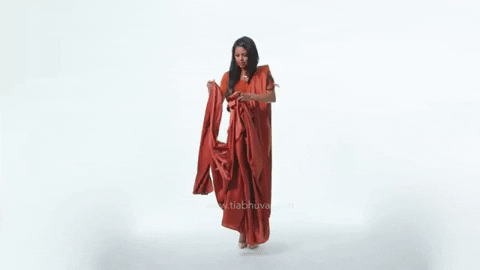 tiabhuvadotcom giphygifmaker saree drape saree love GIF