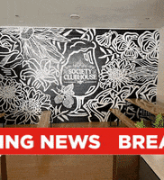 GIF by The Society of Beer Drinking Ladies