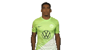Vfl Wolfsburg Sticker by Bundesliga