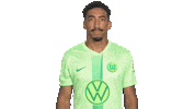 Football No Sticker by VfL Wolfsburg
