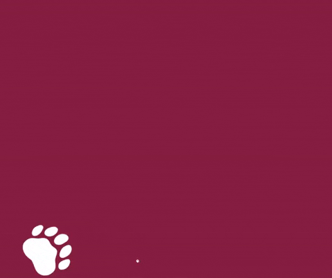 fessendenschool giphyupload GIF