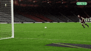Celebrate French GIF by Celtic Football Club