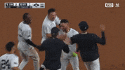 New York Yankees Win GIF by MLB