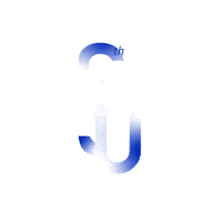 Ski Sticker by Rossignol