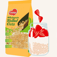 Oatsy oatsy overnightoats rolledoats GIF