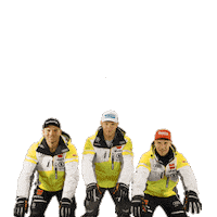 Ski Dsv Sticker by Wuerth Germany