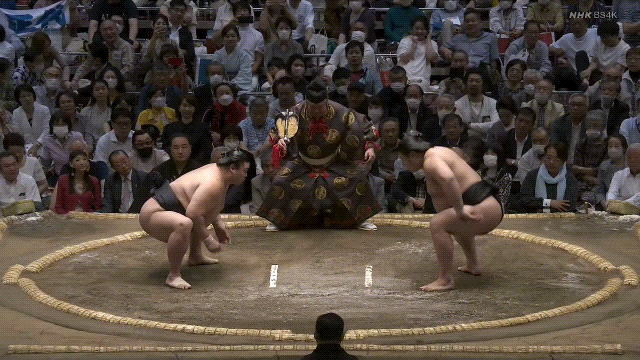 TZ85 giphyupload sumo 2023 natsu basho wakamotoharu GIF