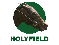 WoodbineRacetrack horse racing woodbine queens plate betwoodbinetb Sticker