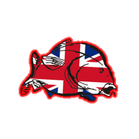 Sticker by Reelfishinguk