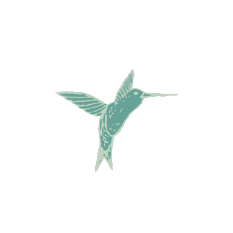 Colibri Sticker by PLACEMATFAB