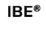 invisiblebeadextensions extensions ibe invisible bead extensions Sticker