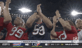 2019 Nfl Football GIF by NFL