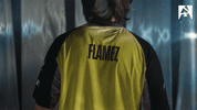 Counter Strike Esports GIF by BLAST