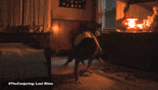 Horror Wb GIF by Warner Bros. Pictures