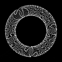 jordangraves art loop design rainbow GIF