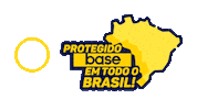 Protecao Protegido Sticker by Base Proteção Veicular