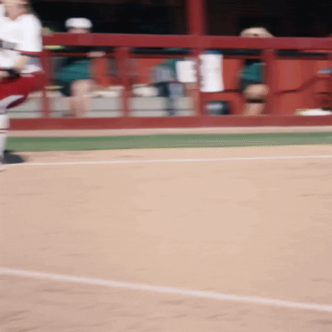 tag softball GIF by gamecocksonline
