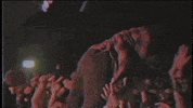 music video concert GIF by Epitaph Records