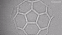 Buckyball-shaped scaffold makes stem cell tissue growth faster