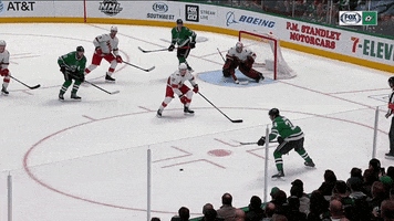 FOXSportsSW celebration celebrate goal hockey GIF