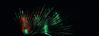 Palm Trees Dancing GIF by Universal Music Africa