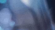 Nationstarac GIF by Star Académie TVA