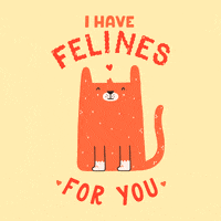 I Love You Cat GIF by Matt Joyce