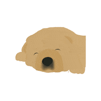 Dog Appa Sticker