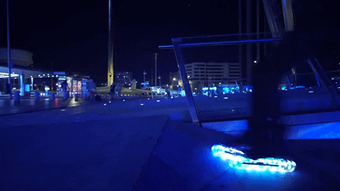 Roller Rollerblading GIF