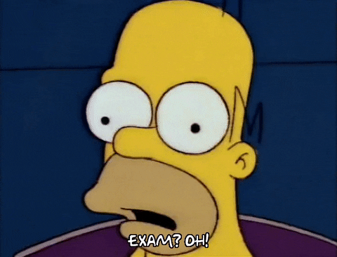 homer simpson episode 3 GIF