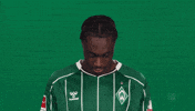 Werder Bremen Salifou GIF by Bundesliga