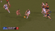 round 17 afl GIF by Adelaide Crows