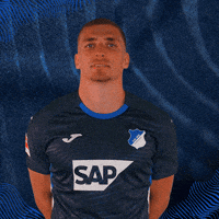 Grischa Prömel Sport GIF by TSG Hoffenheim