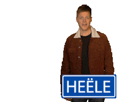 Carnaval Vastelaovend Sticker by Lex Uiting