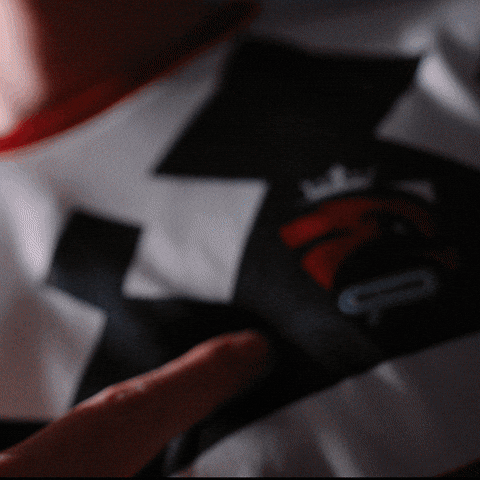 This Is Us League GIF by Austrian Force eSports